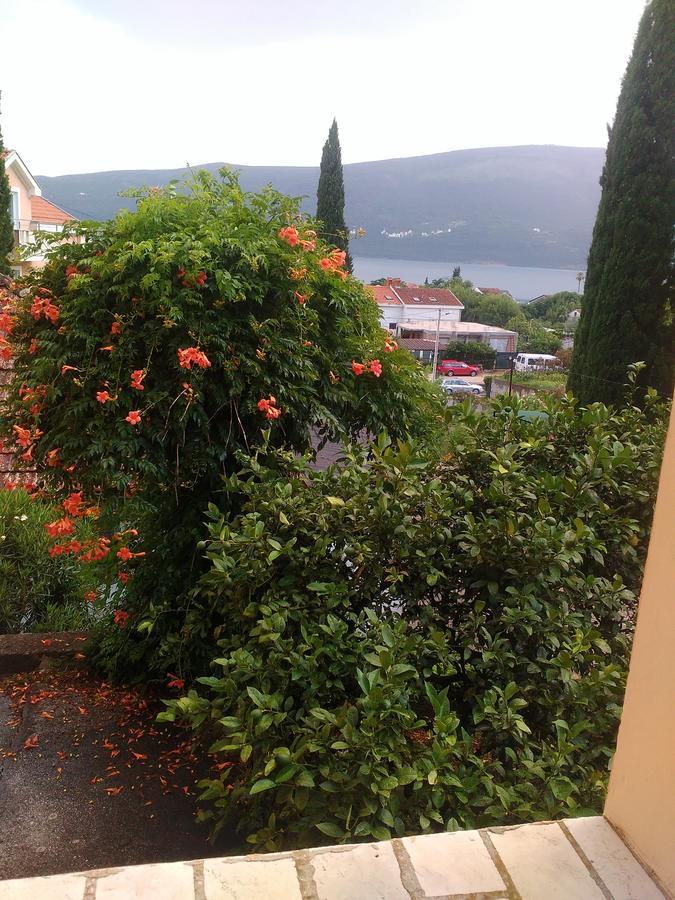 Sobe Baosici Marina Hotel Herceg Novi Bagian luar foto